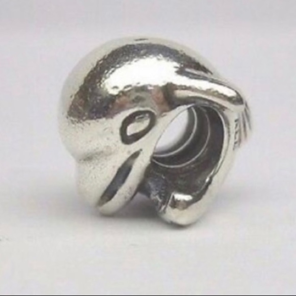 Pandora dolphin charm